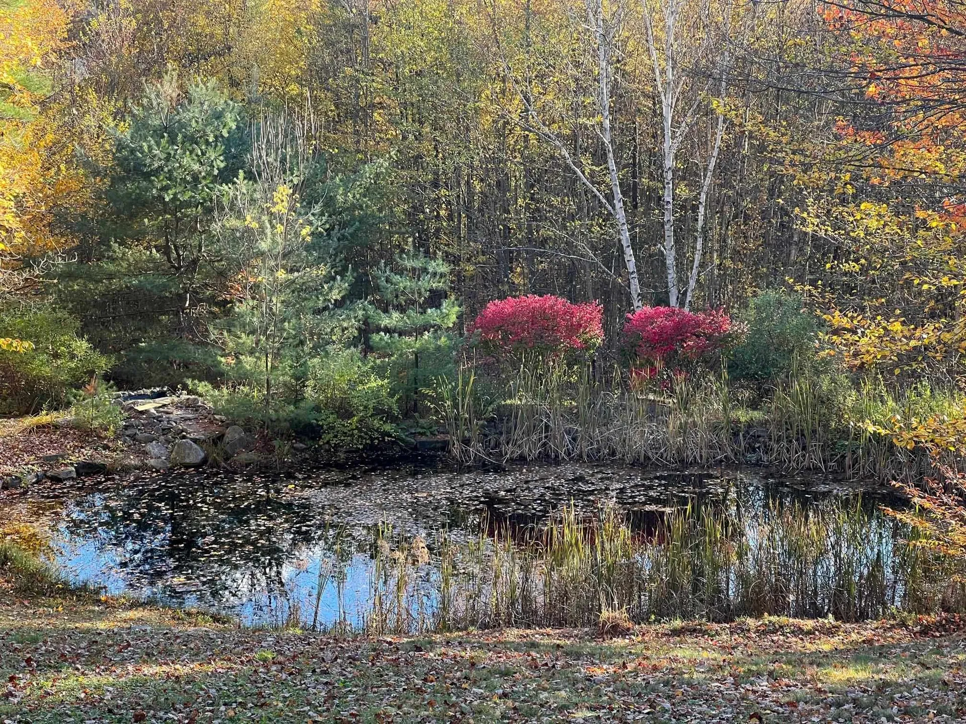 644 Deerwood Hill Londonderry VT 05155
