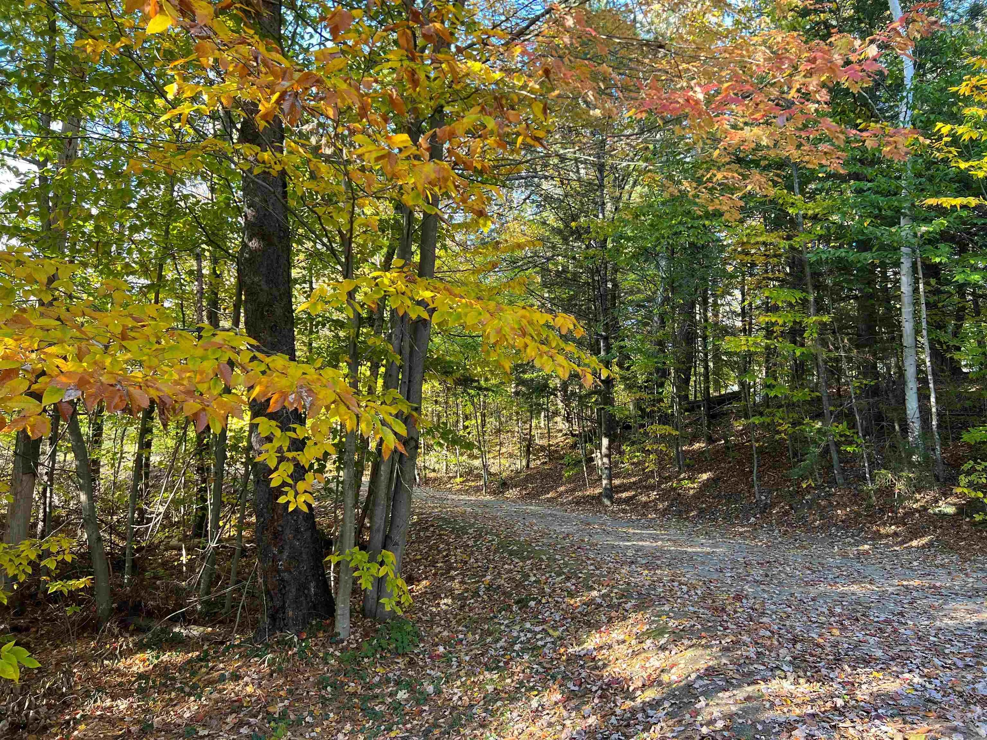 644 Deerwood Hill Londonderry VT 05155