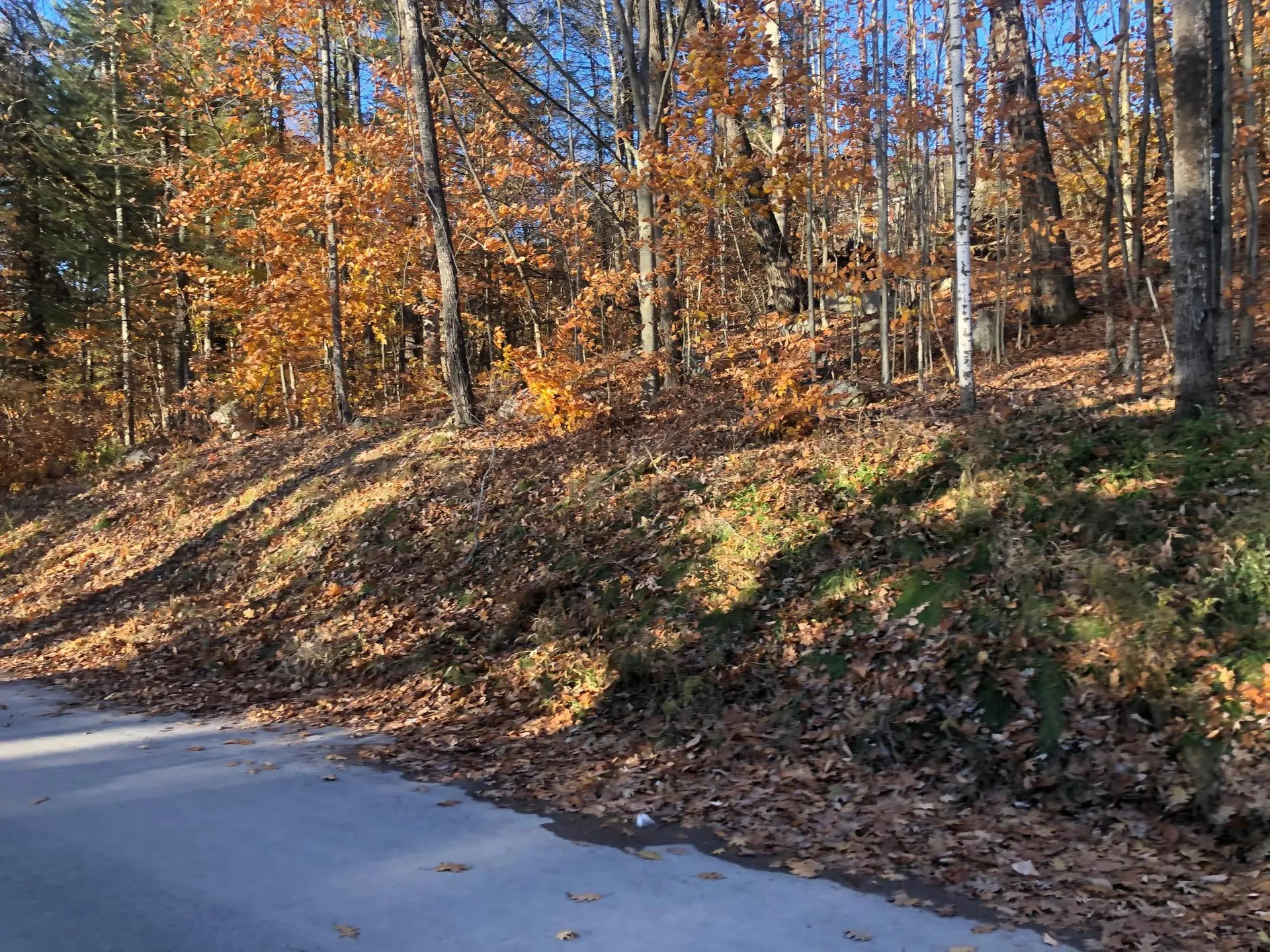 70/61-63 Sunset Shore Drive Alton NH 03810