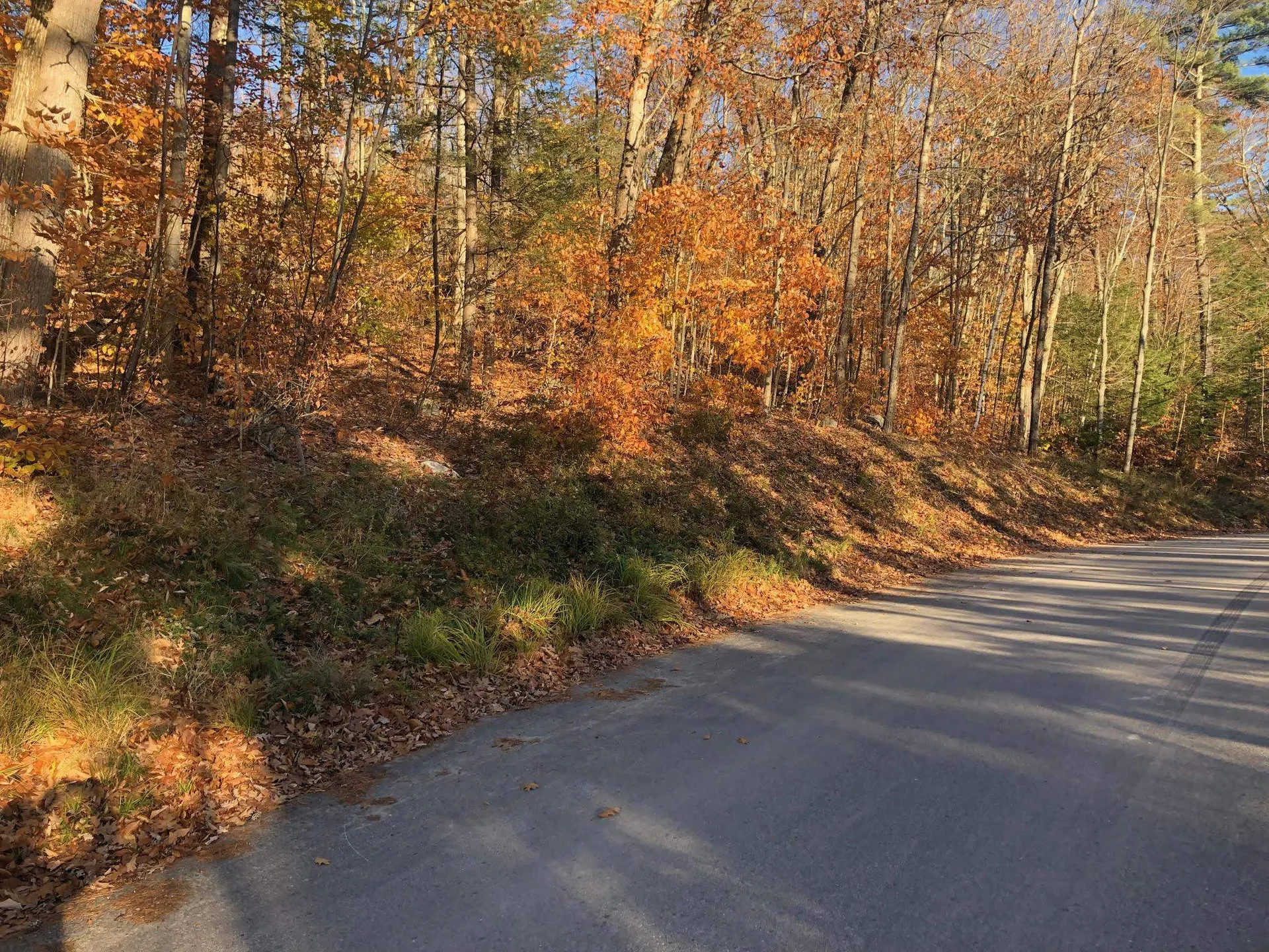 70/61-63 Sunset Shore Drive Alton NH 03810