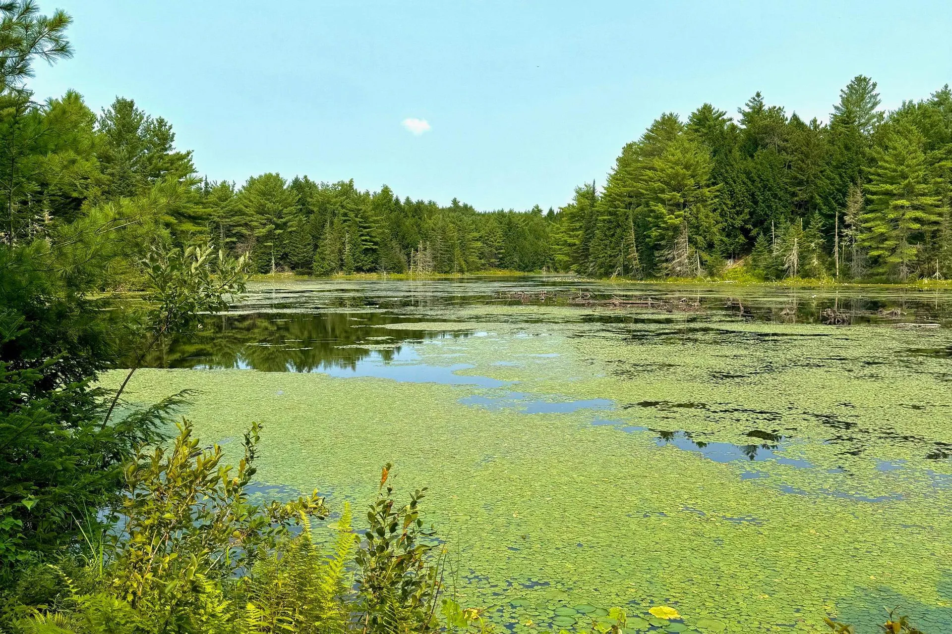 62 Whittier Highway Sandwich NH 03227