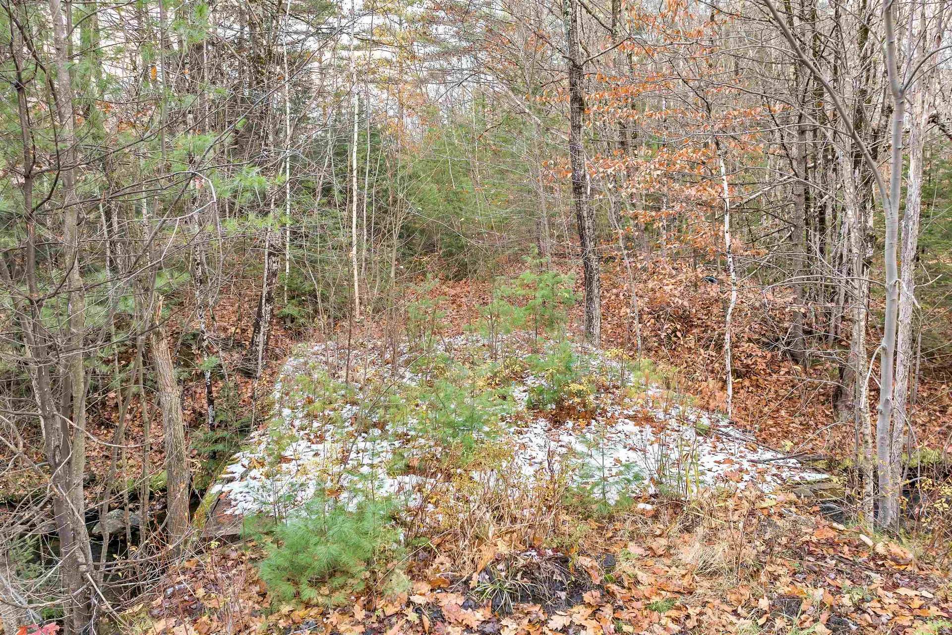 62 Whittier Highway Sandwich NH 03227