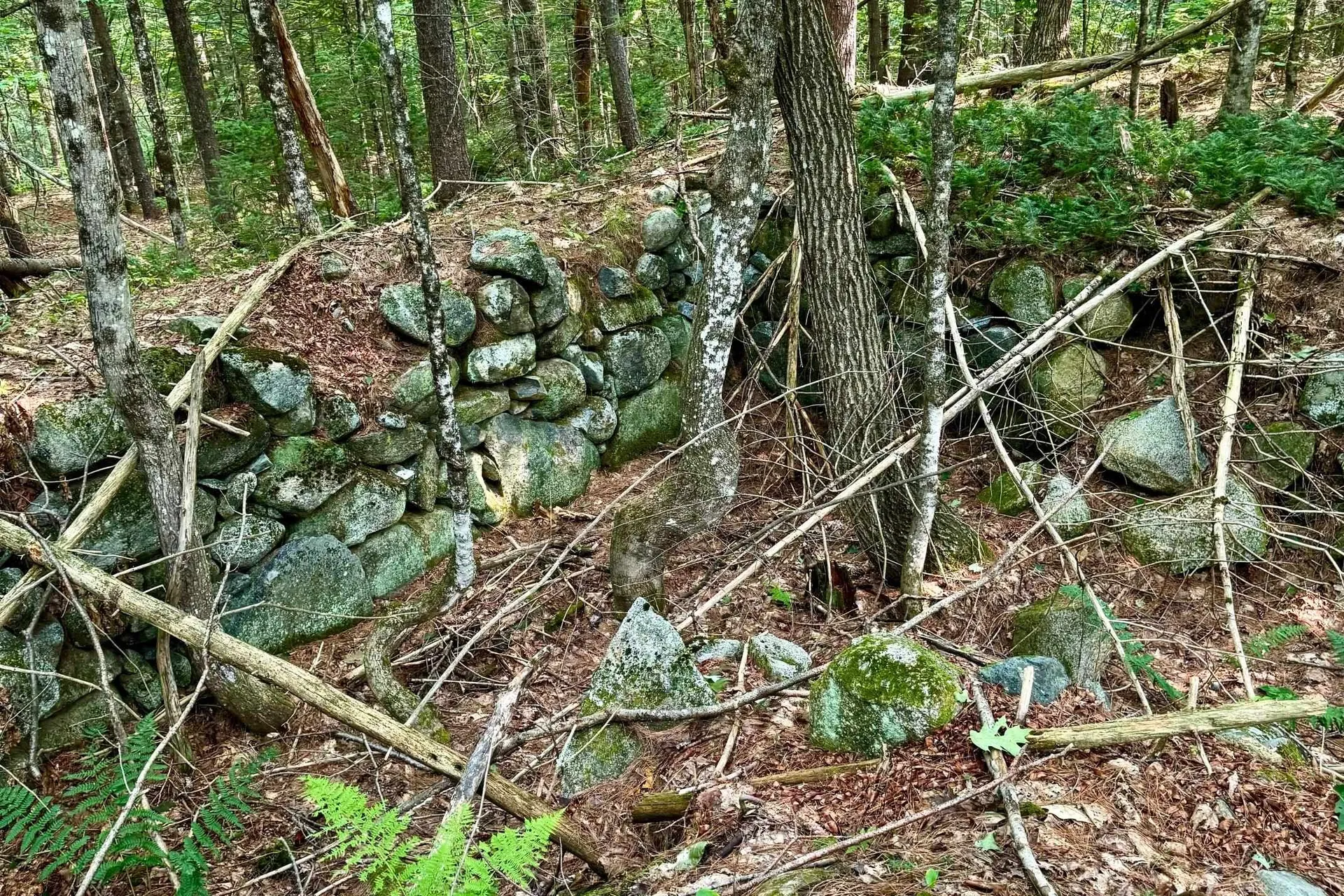 62 Whittier Highway Sandwich NH 03227