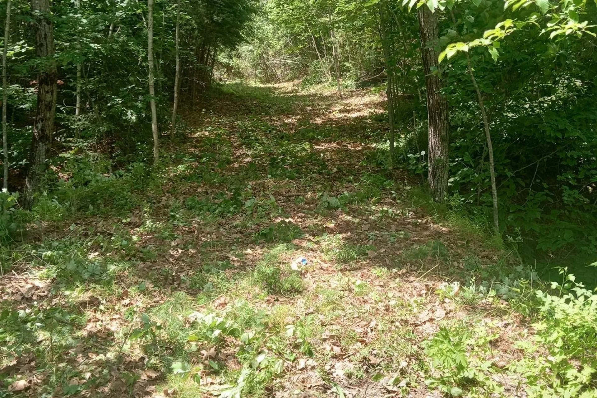 62 Whittier Highway Sandwich NH 03227