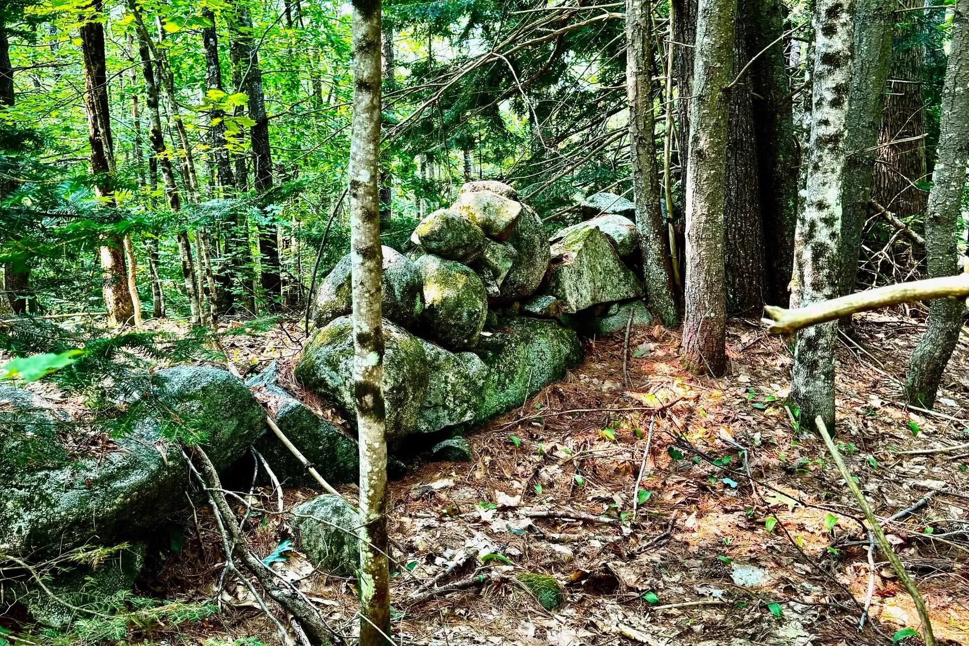 62 Whittier Highway Sandwich NH 03227