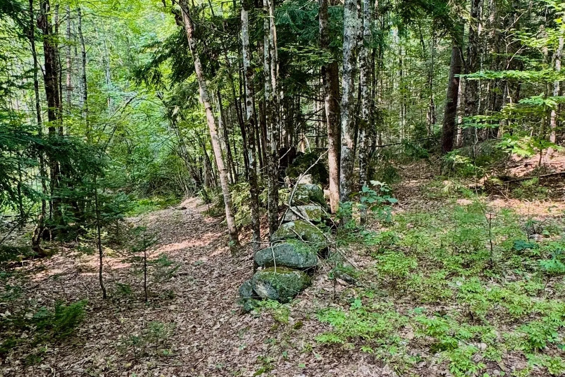 62 Whittier Highway Sandwich NH 03227