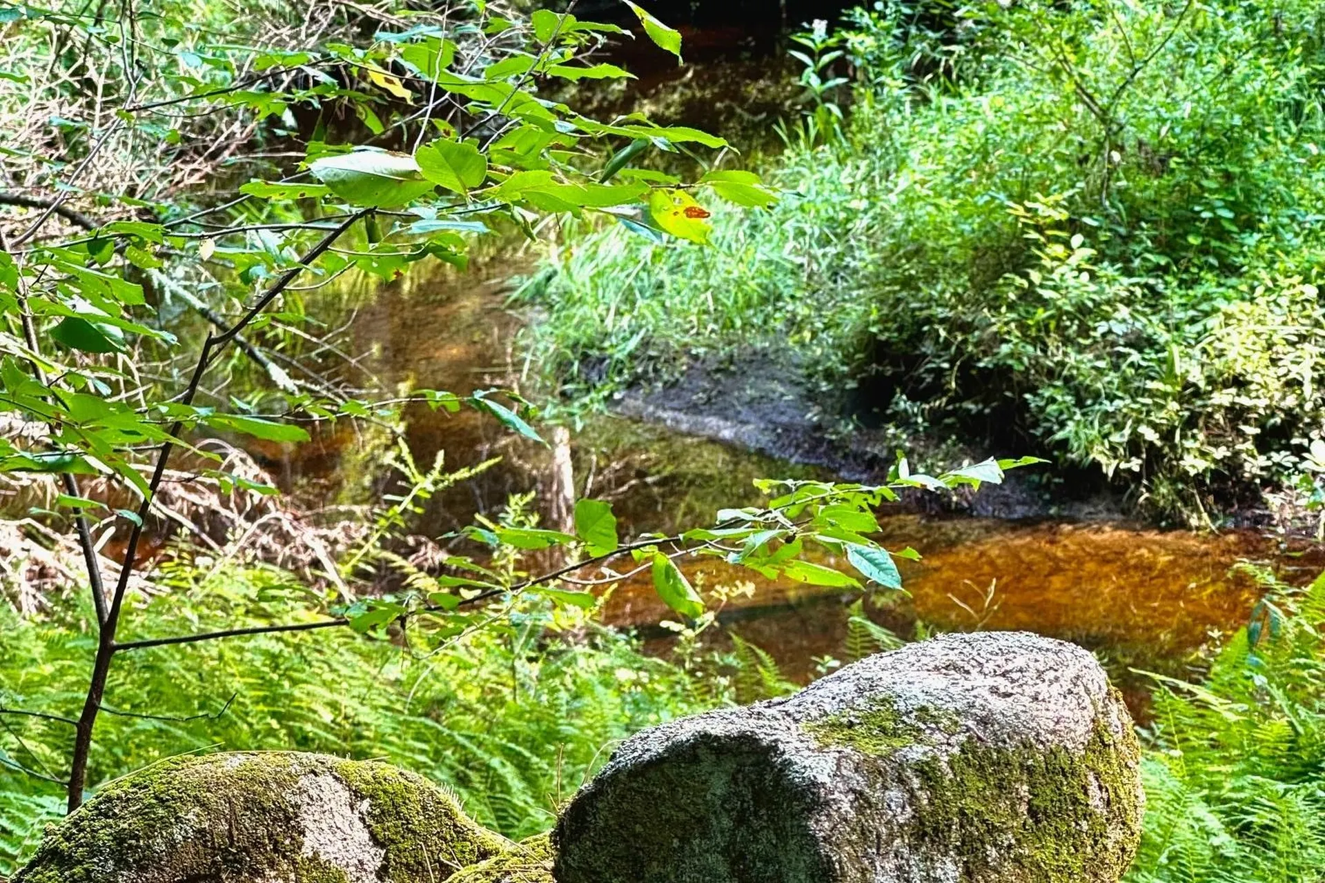 62 Whittier Highway Sandwich NH 03227