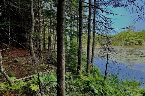 62 Whittier Highway Sandwich NH 03227