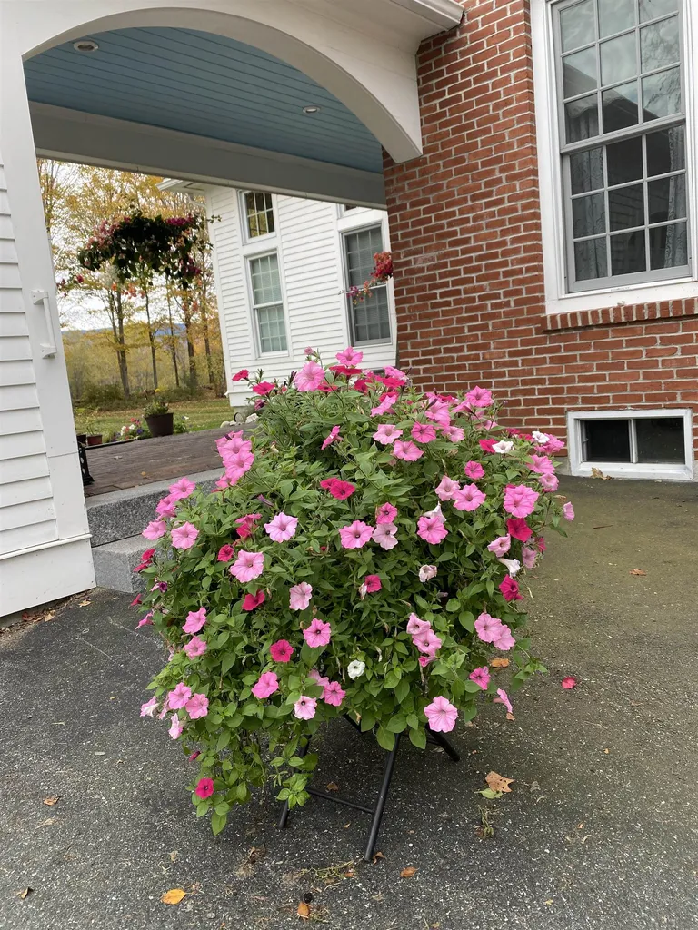 11 Baynes Road Plainfield NH 03770