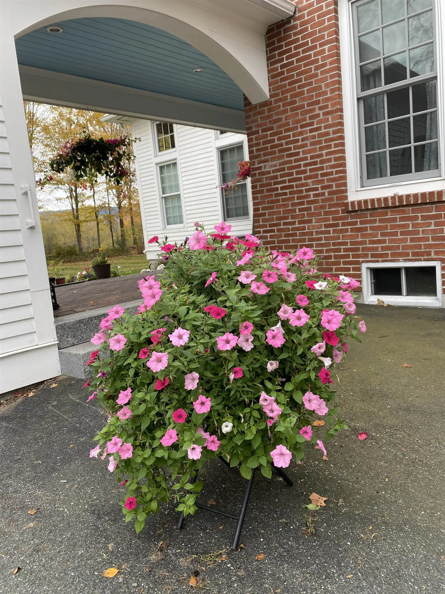 11 Baynes Road Plainfield NH 03770