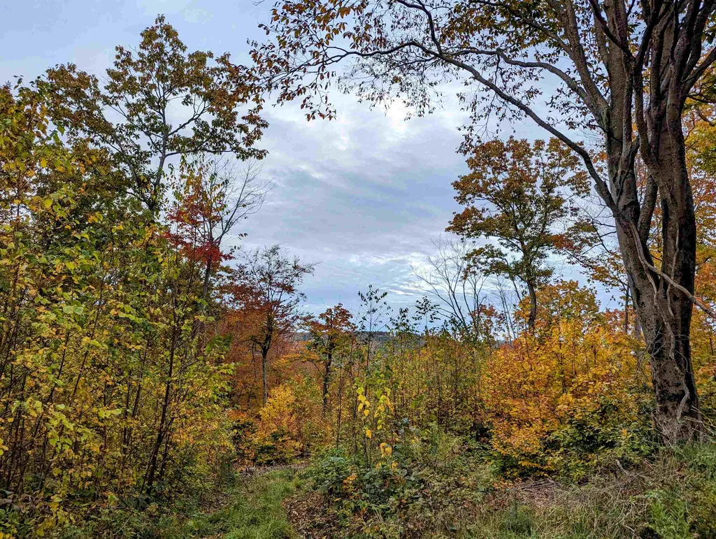 107 John Hodgdon Road Ossipee NH 03864