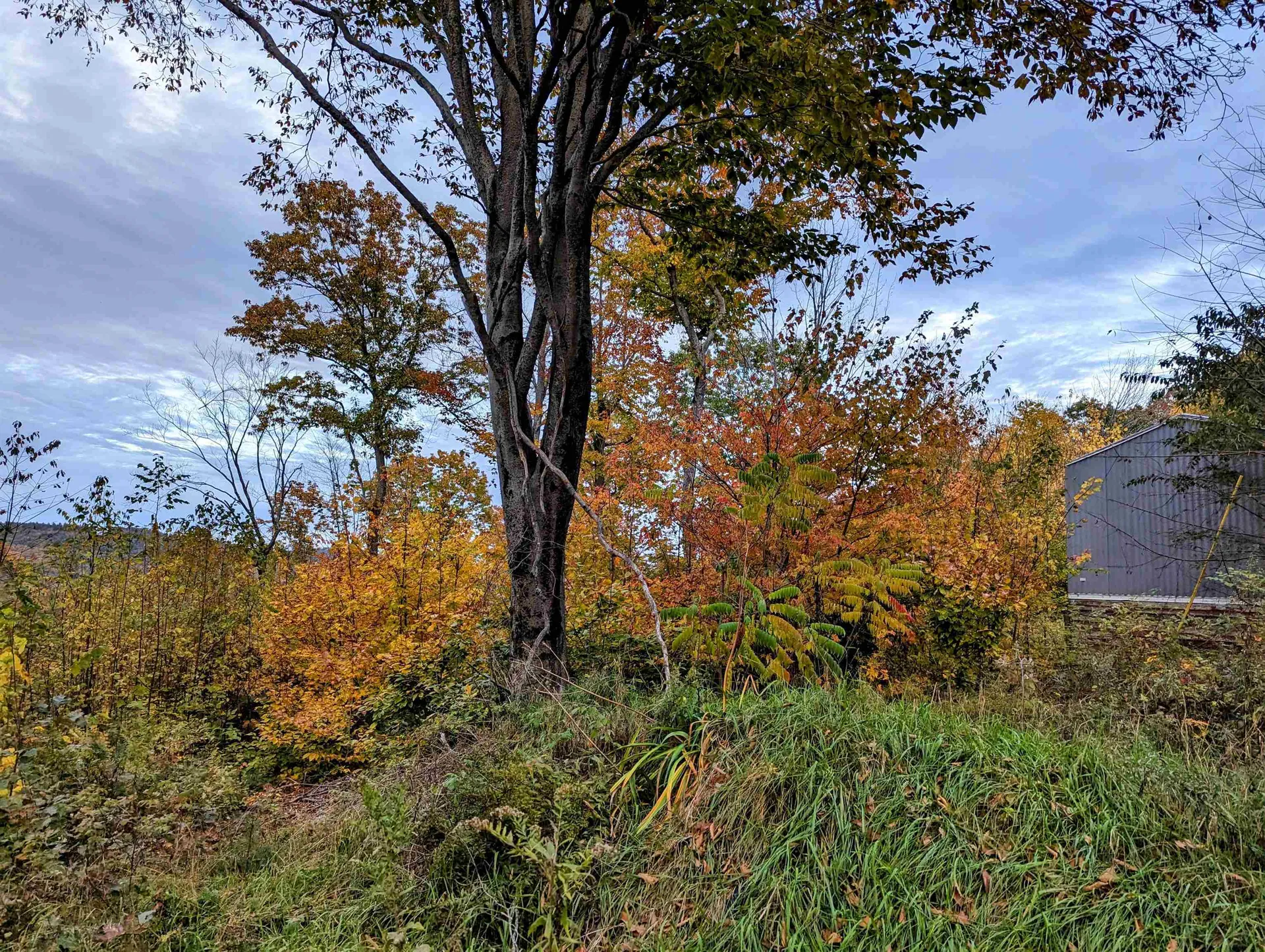 107 John Hodgdon Road Ossipee NH 03864