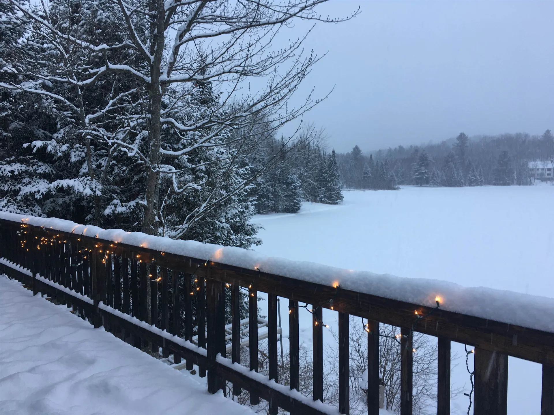 88 Howe Drive Eden VT 05652