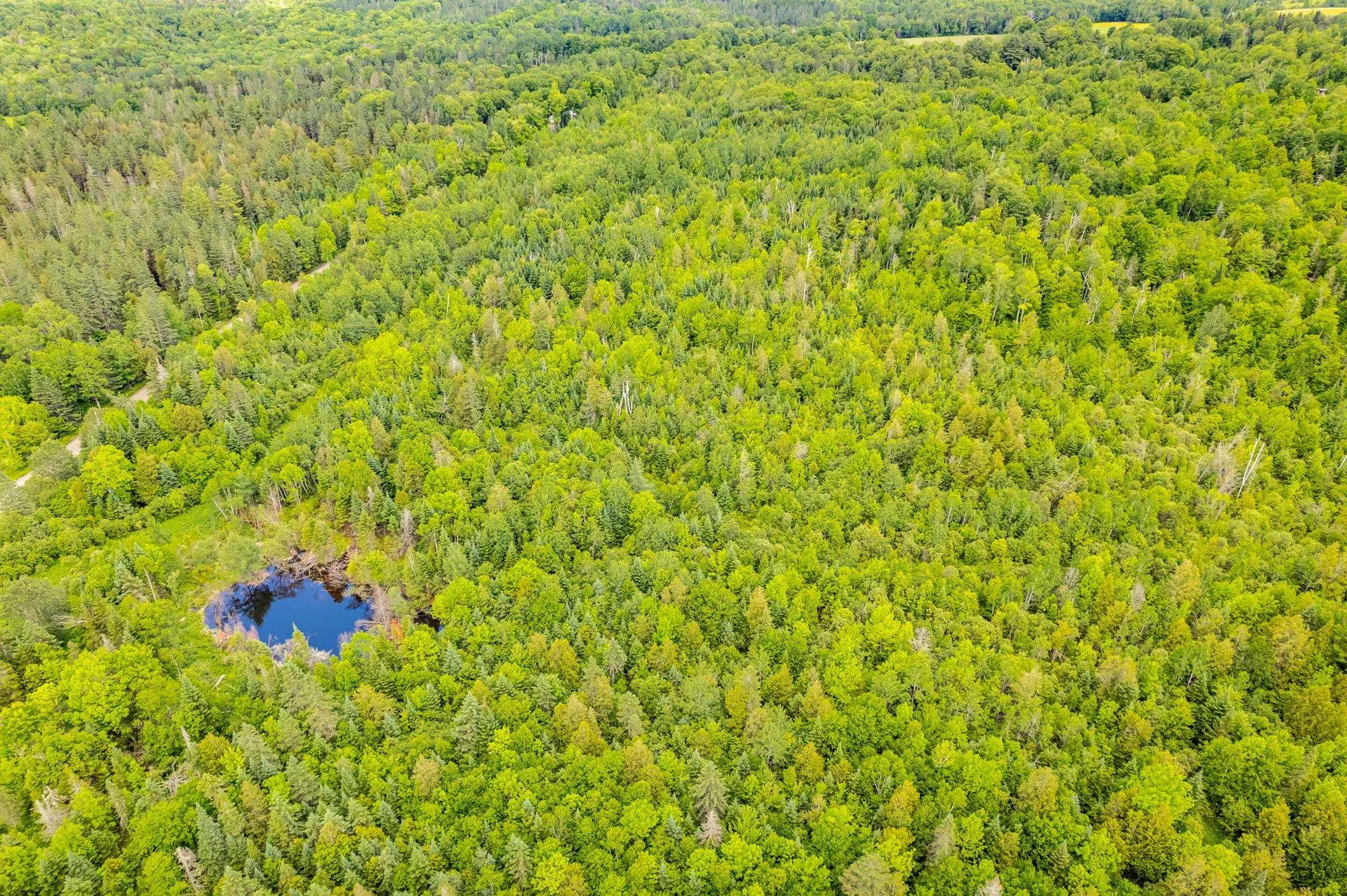 00 Houghton Road Cabot VT 05647