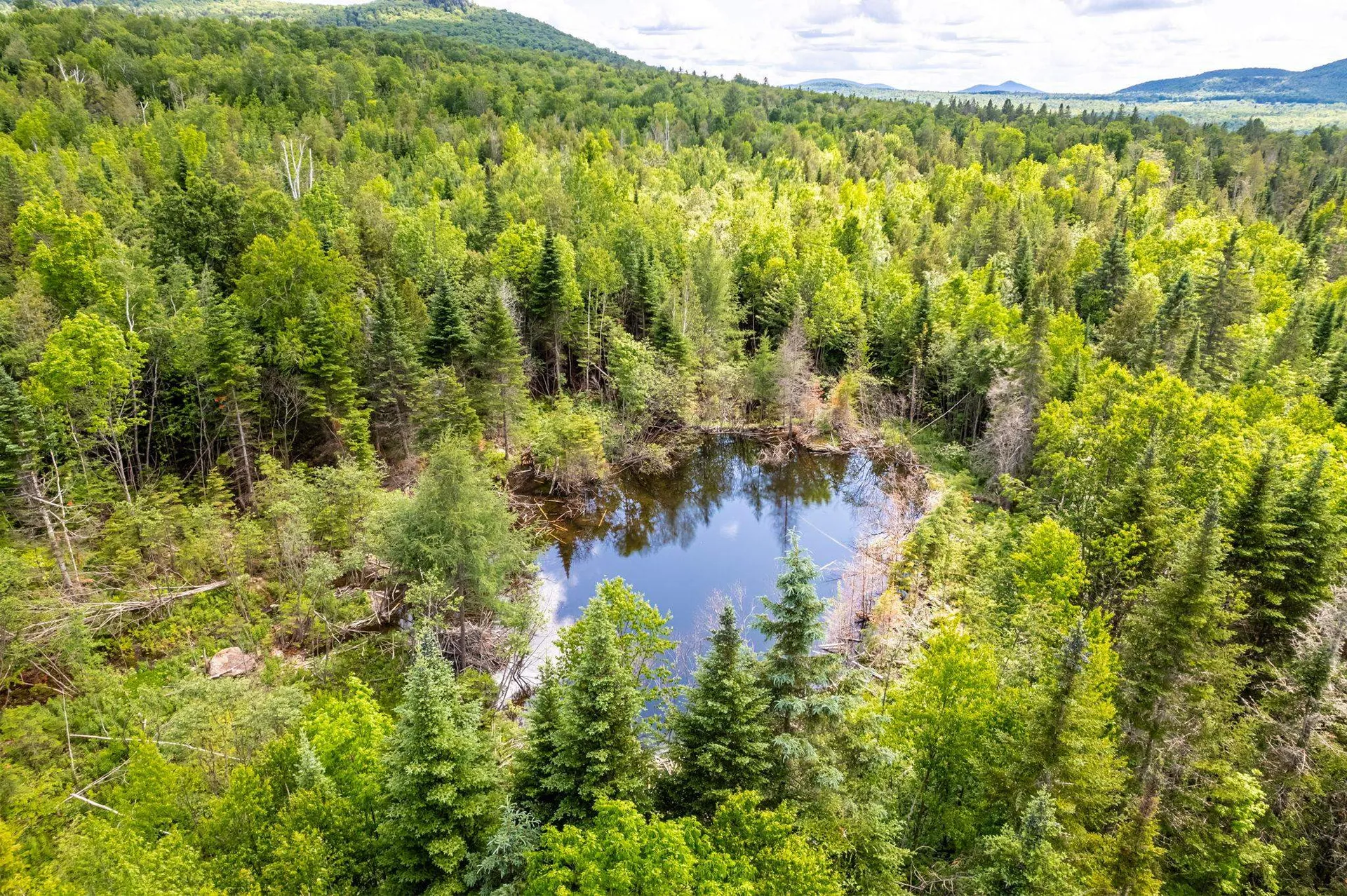 00 Houghton Road Cabot VT 05647