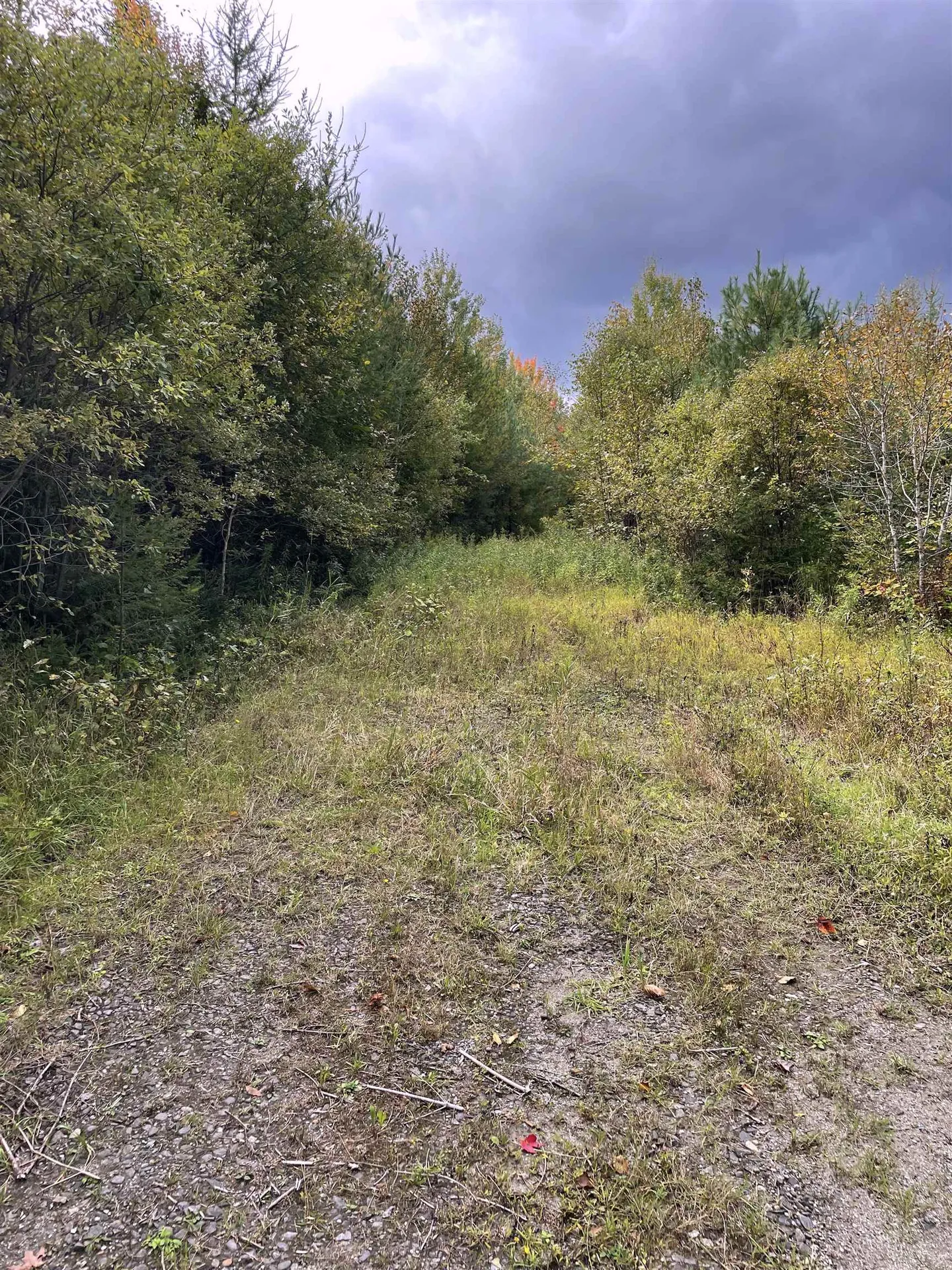 00 Houghton Road Cabot VT 05647
