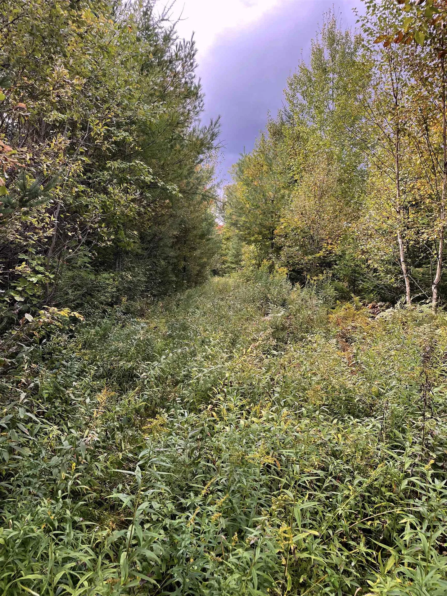 00 Houghton Road Cabot VT 05647