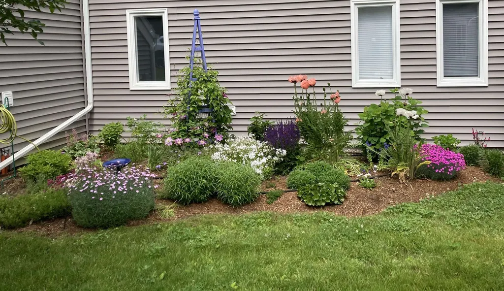 75 Hilltop Place New London NH 03257