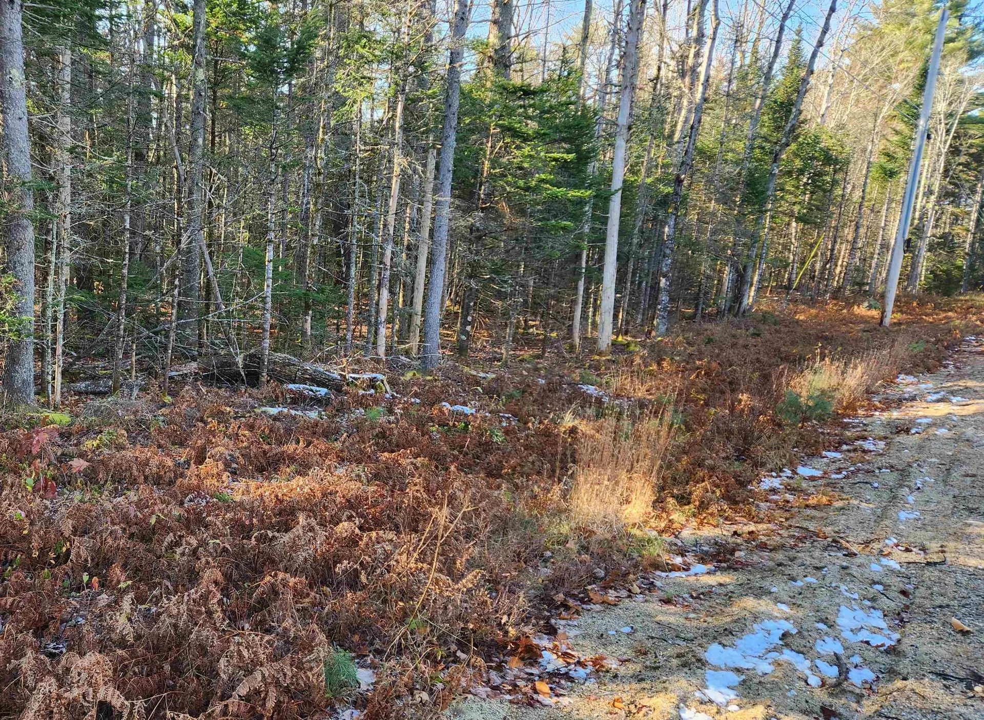 30d Chase Road Sandwich NH 03259