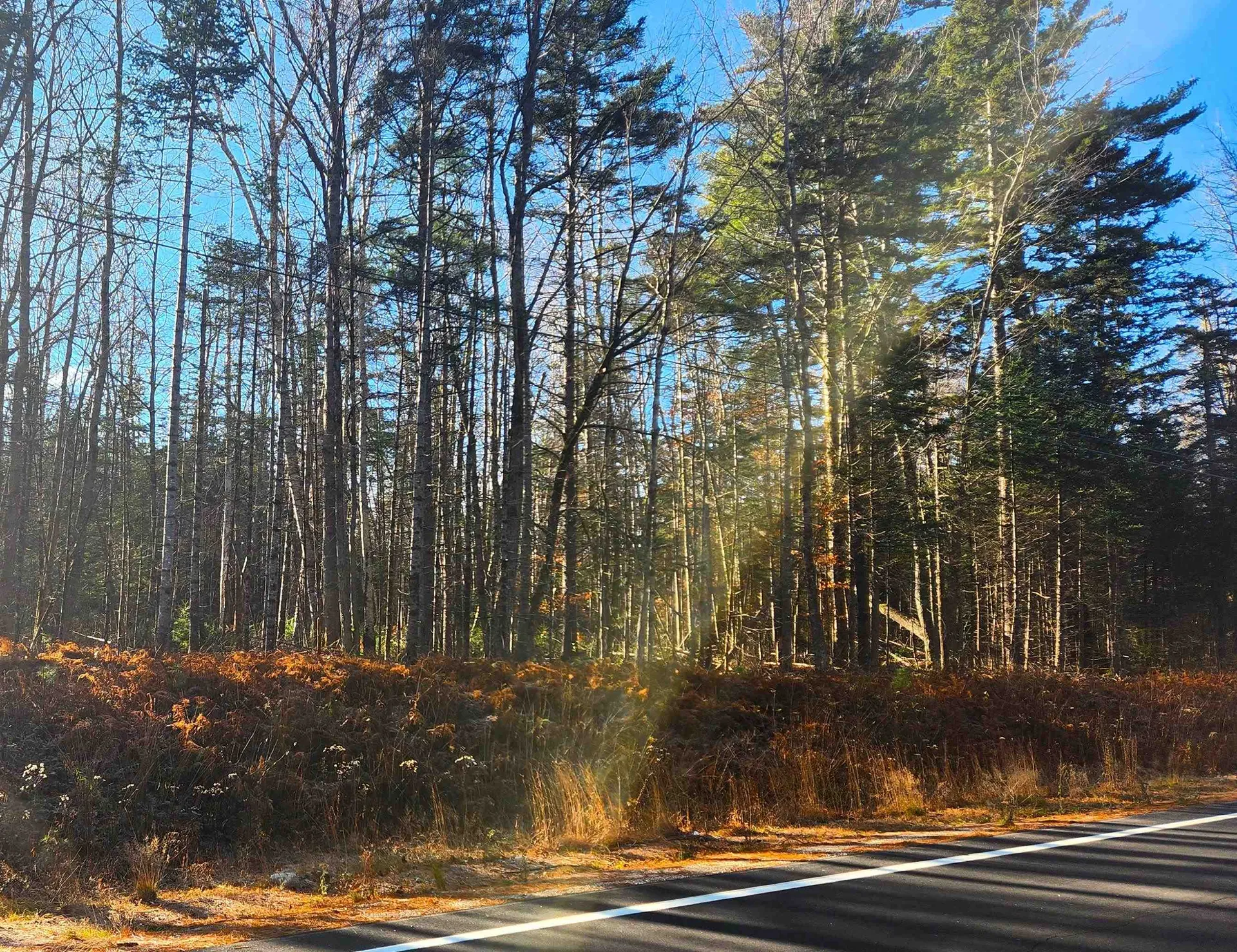 30d Chase Road Sandwich NH 03259