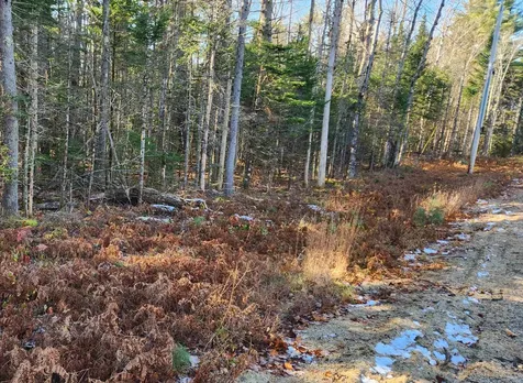 30d Chase Road Sandwich NH 03259