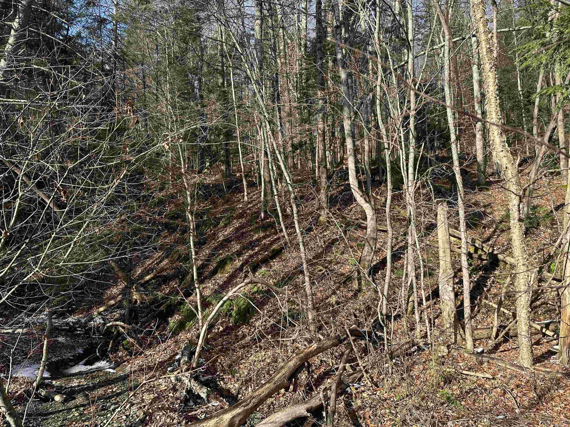 Vt Route 100 Lowell VT 05847