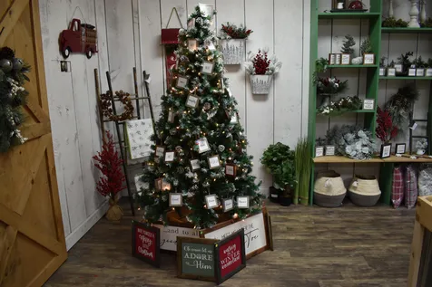 11 Perley Street Concord NH 03301