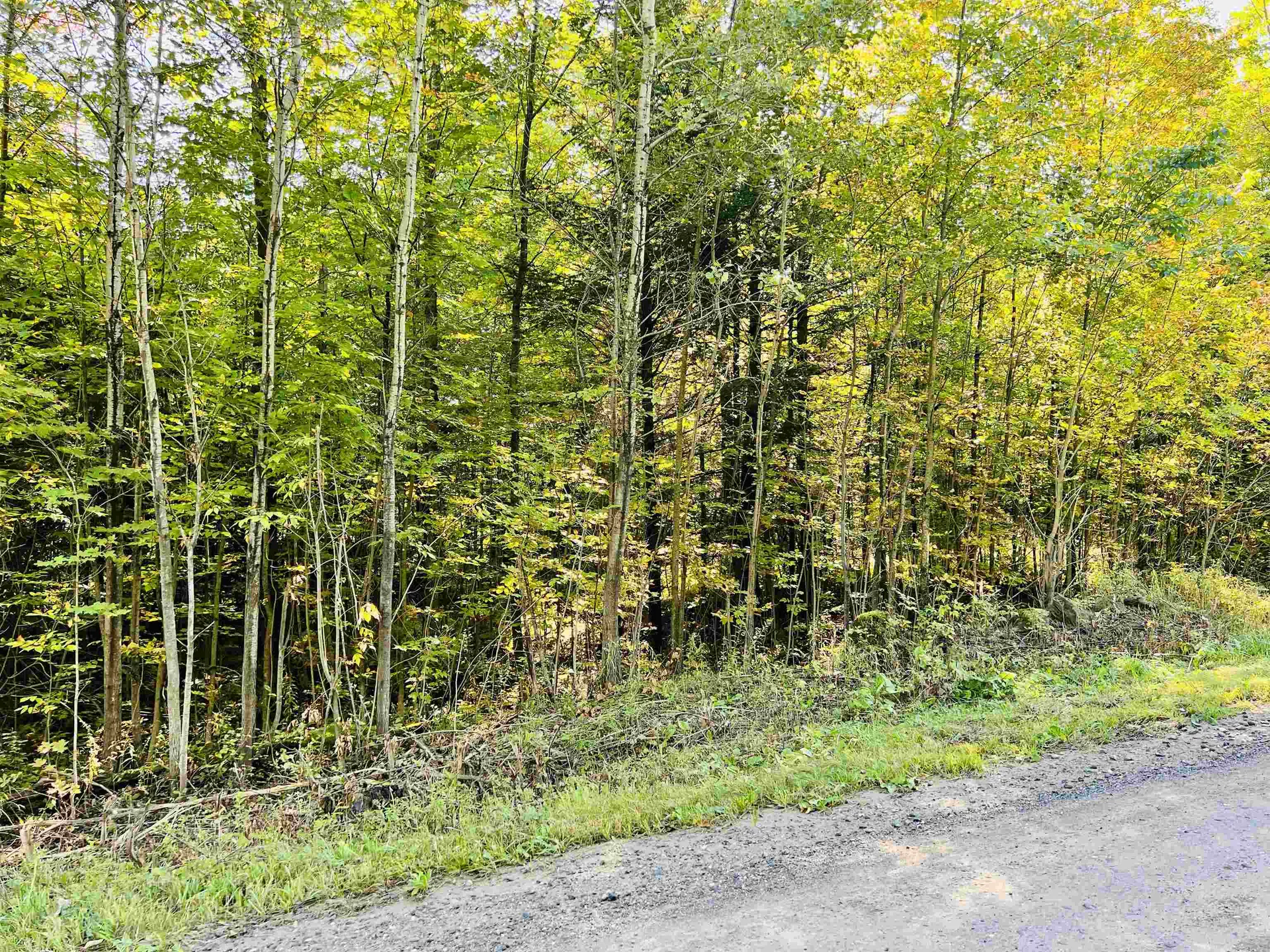 Lot 2 Reservoir Road Berkshire VT 05450