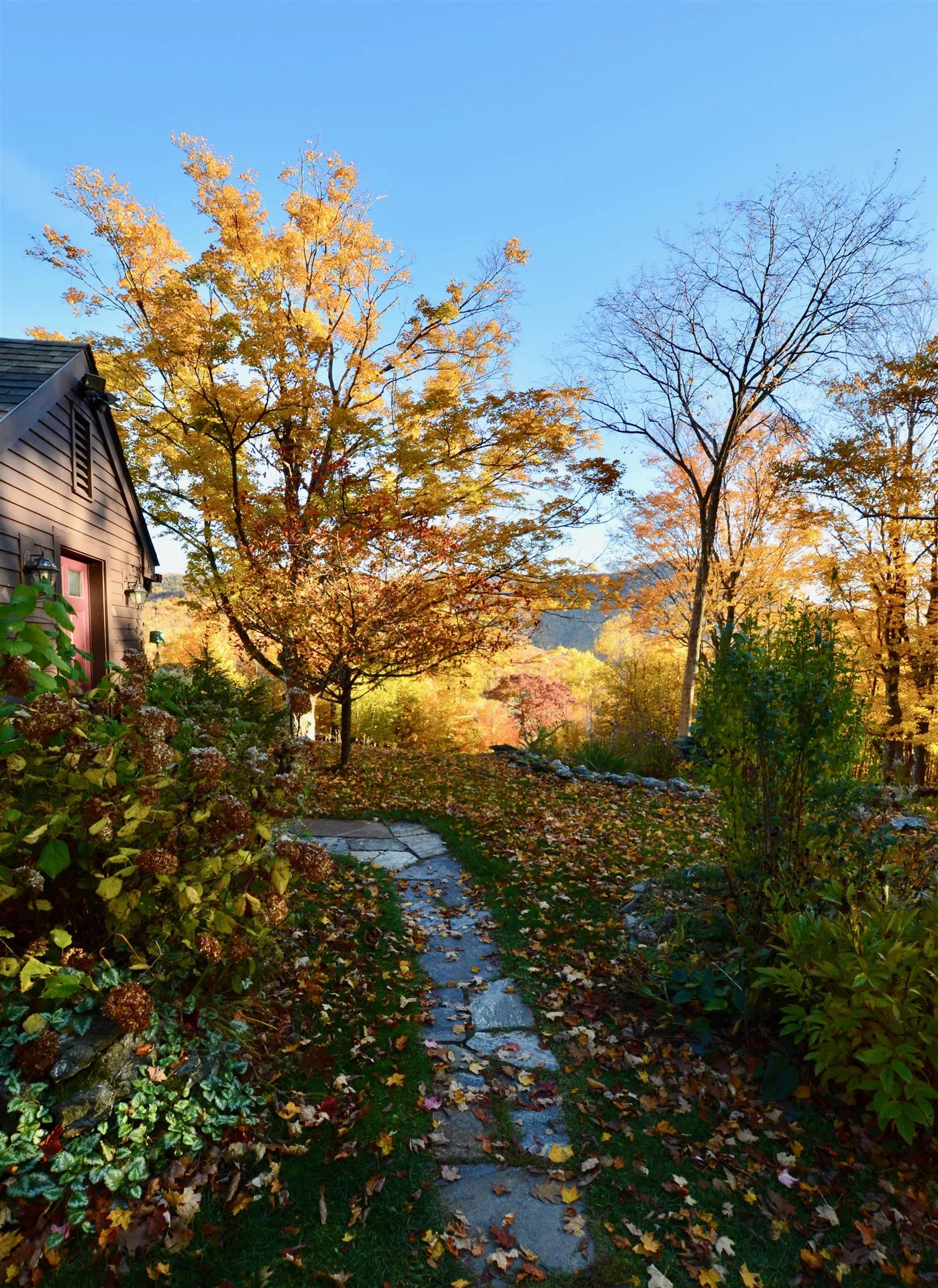 592 Antone Mountain View Road Rupert VT 05768