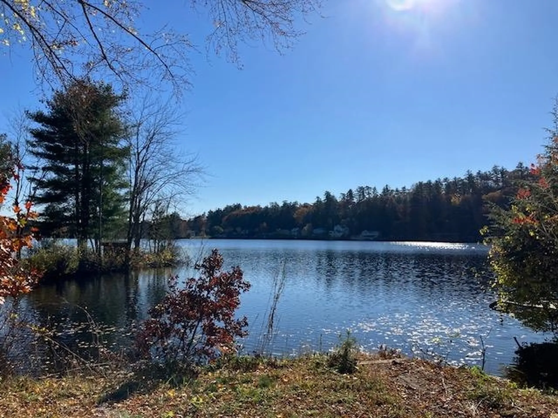 37 Cove Street Goffstown NH 03045