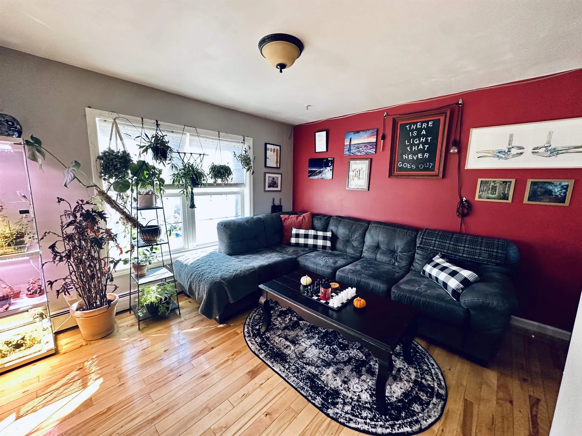 235 Park Street Burlington VT 05401