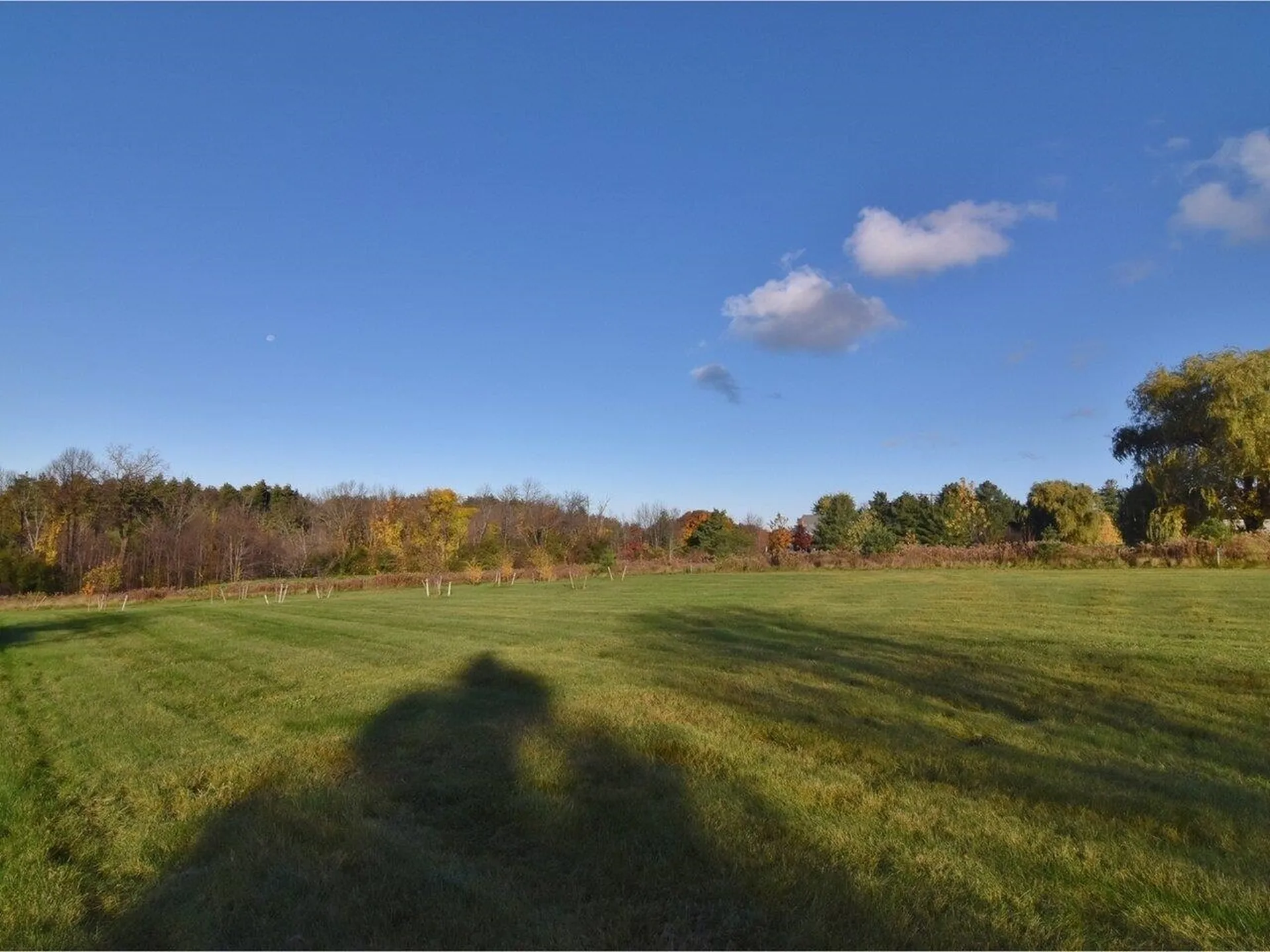 4036 Spear Street Shelburne VT 05482