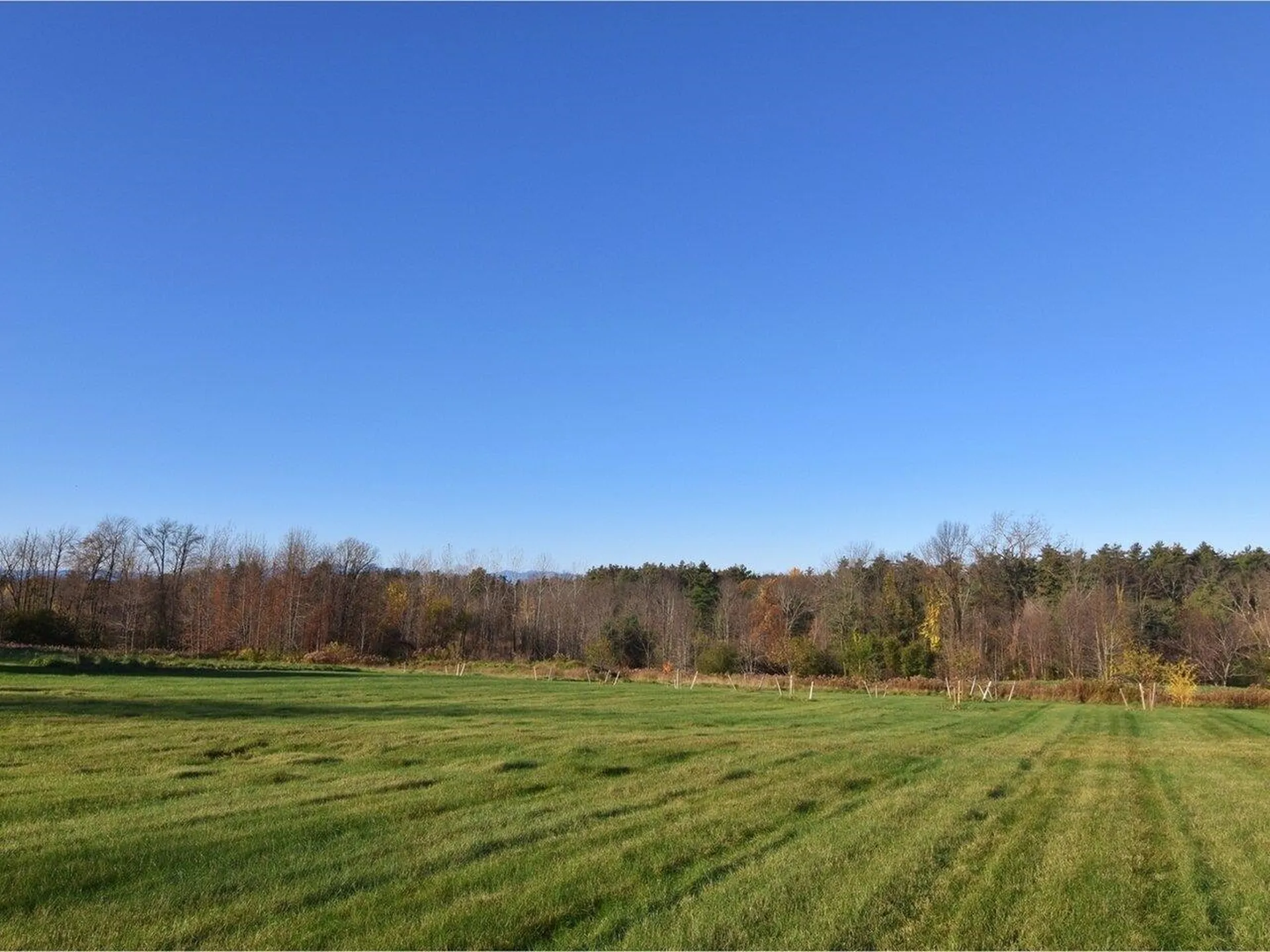 4036 Spear Street Shelburne VT 05482
