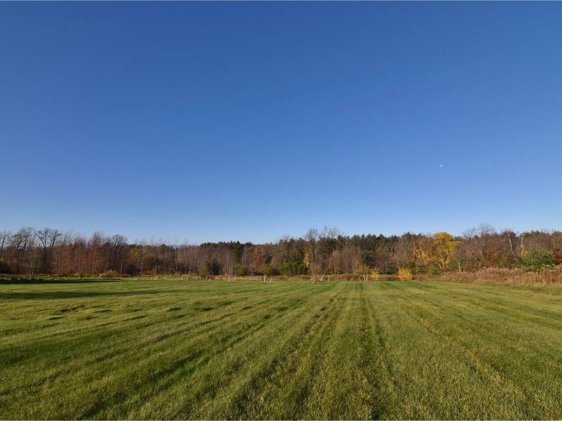 4036 Spear Street Shelburne VT 05482