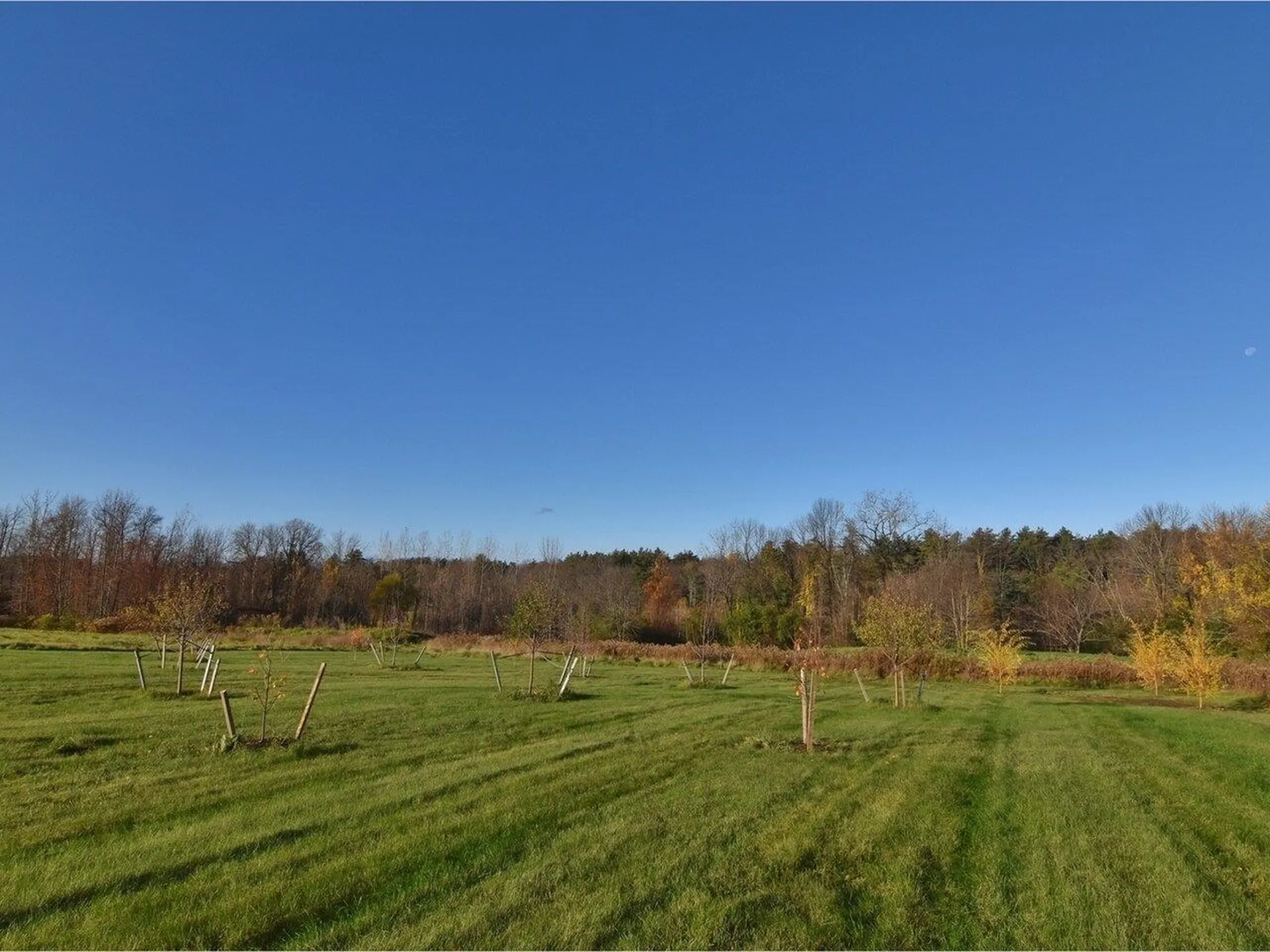 4036 Spear Street Shelburne VT 05482