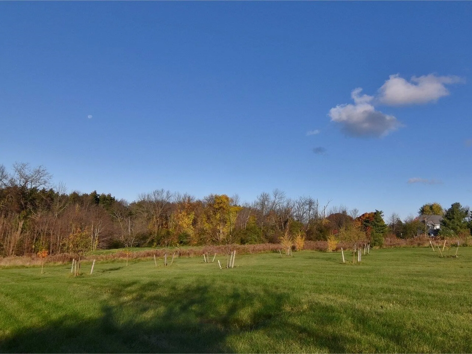 4036 Spear Street Shelburne VT 05482