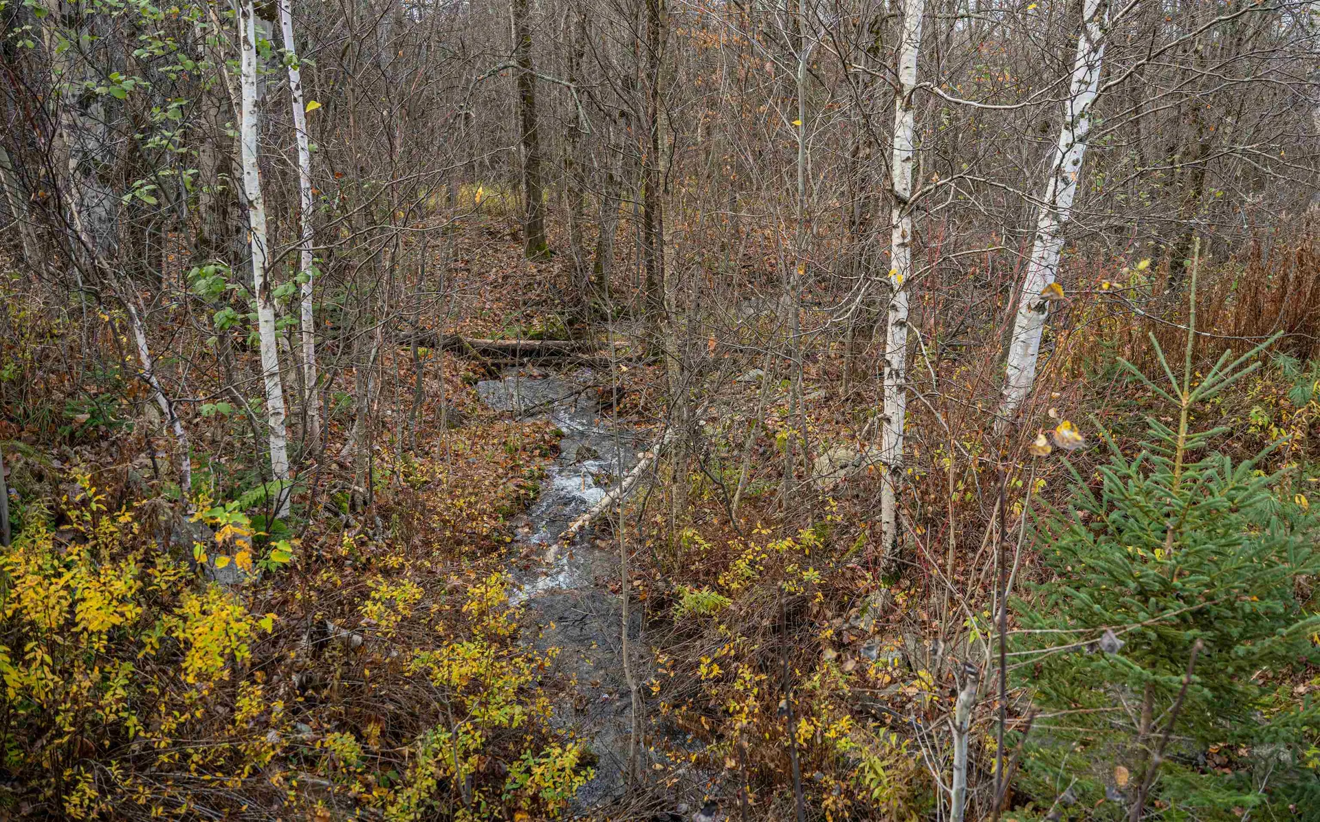 00 Route 115 Carroll NH 03598