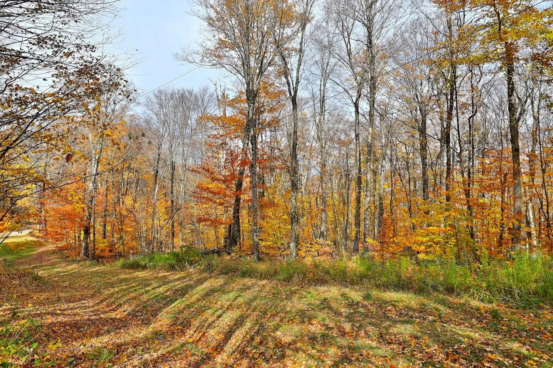 430 Lower Rebecca Lane Killington VT 05751