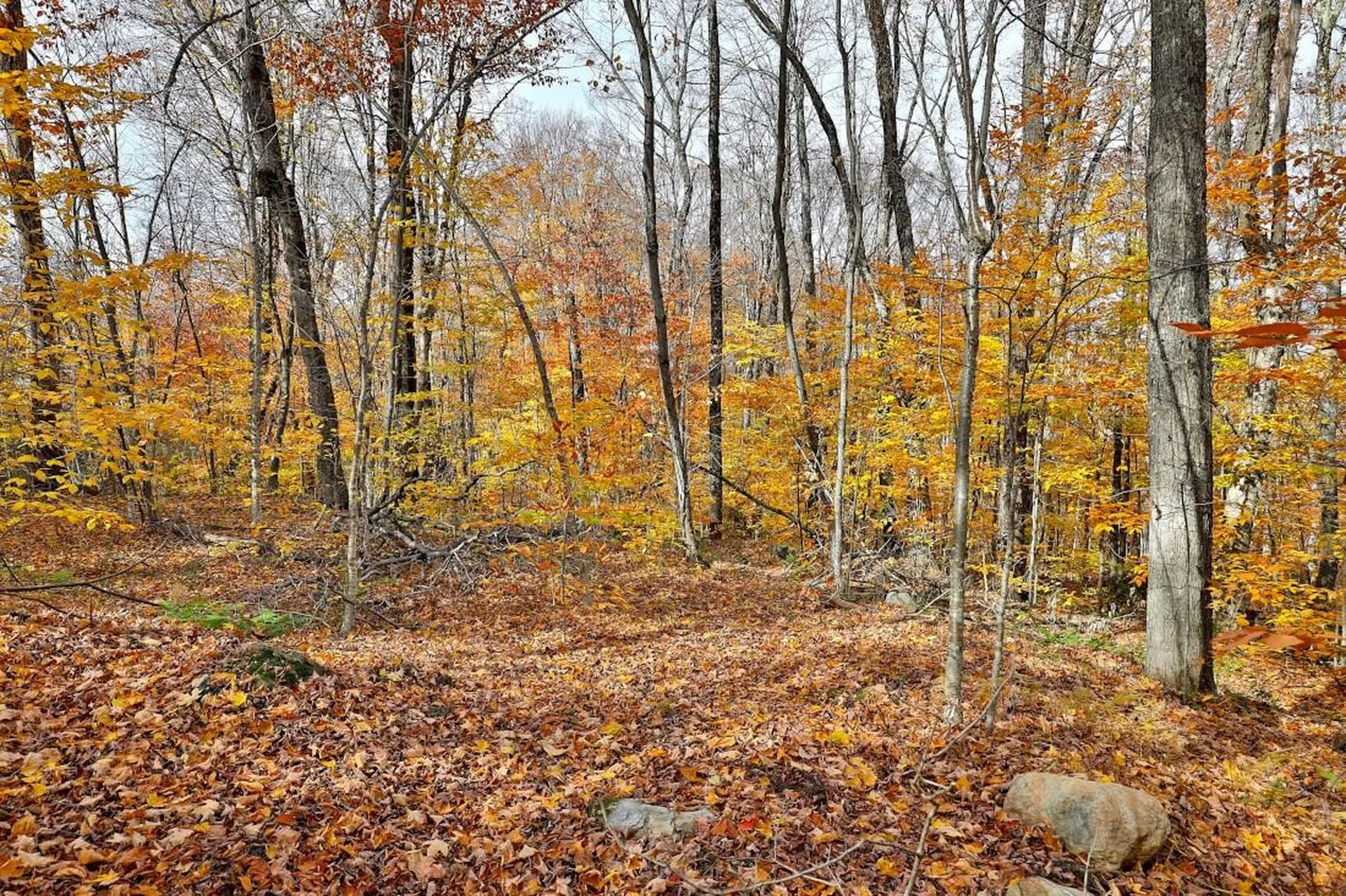 430 Lower Rebecca Lane Killington VT 05751