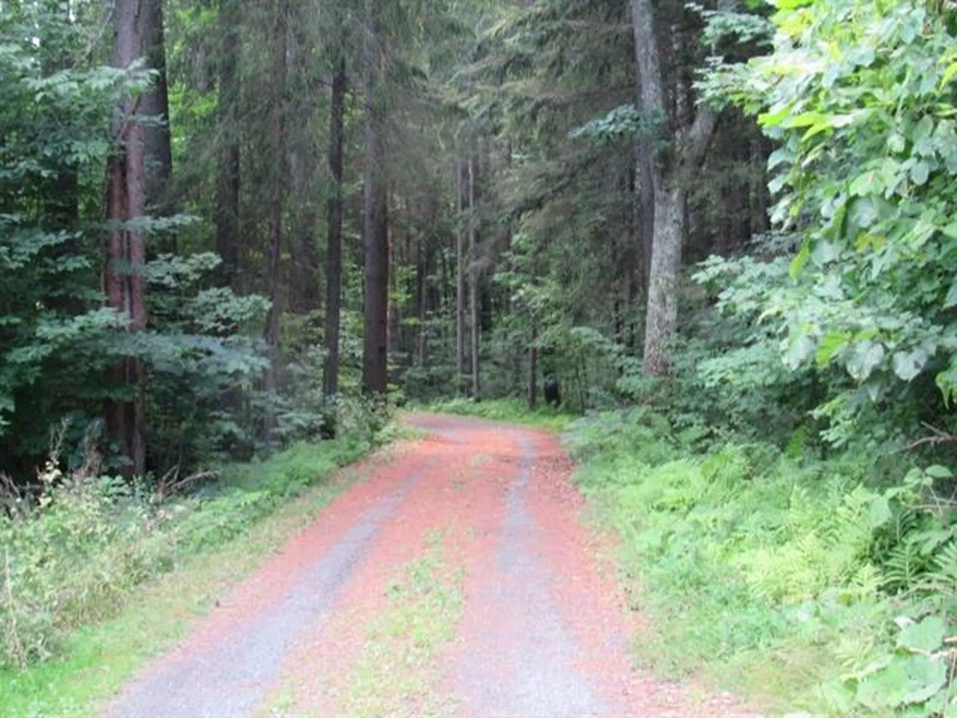 506 Westerdale Road Woodstock VT 05091
