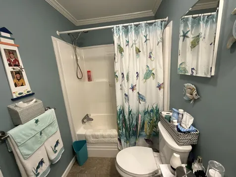 11 Alexandra Lane Rochester NH 03867