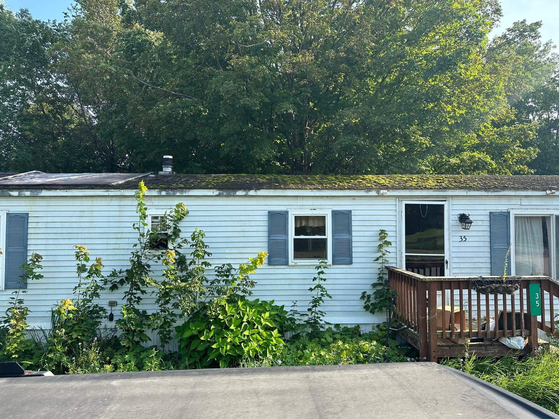 35 Morgan Horse Lane Bristol VT 05443