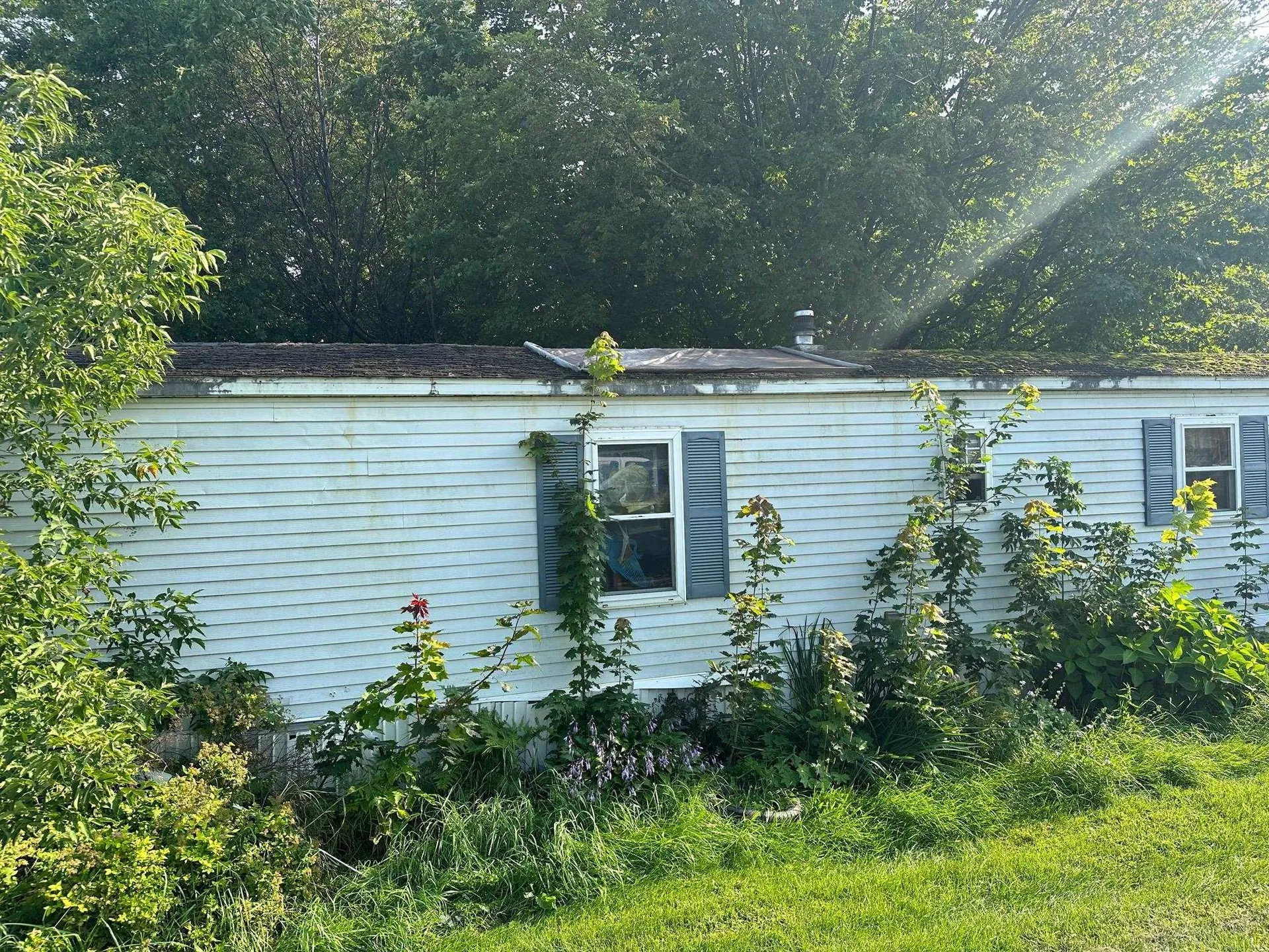 35 Morgan Horse Lane Bristol VT 05443