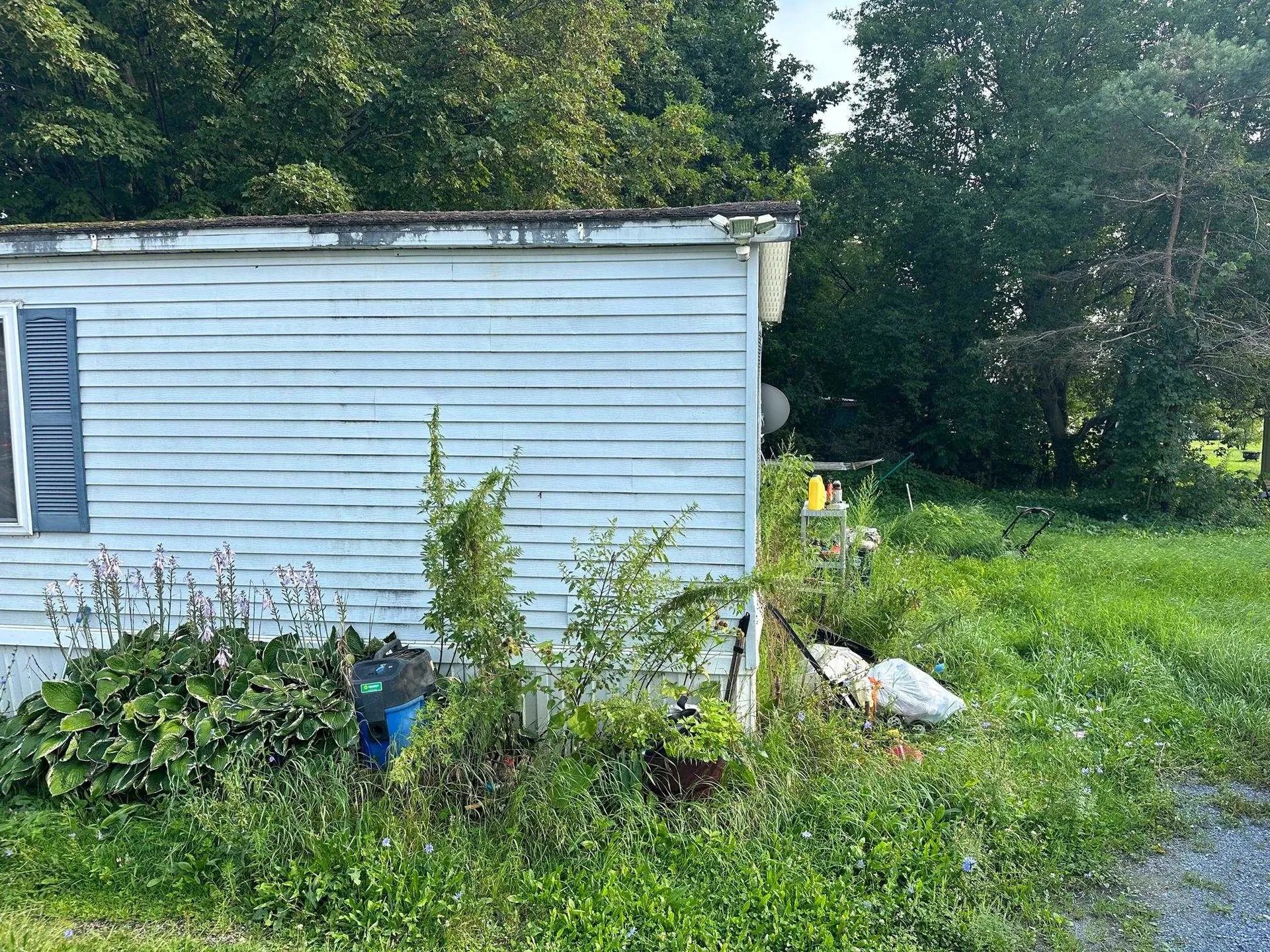 35 Morgan Horse Lane Bristol VT 05443