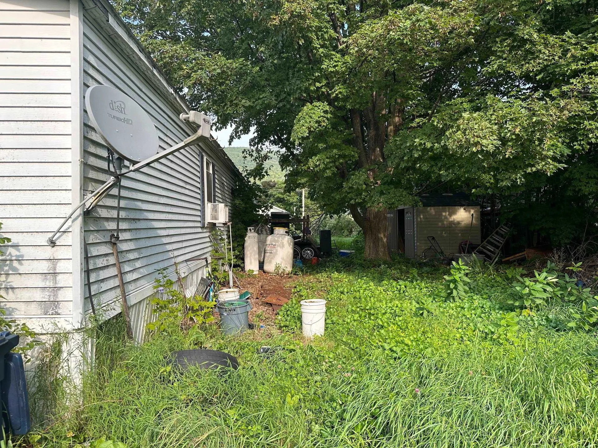 35 Morgan Horse Lane Bristol VT 05443