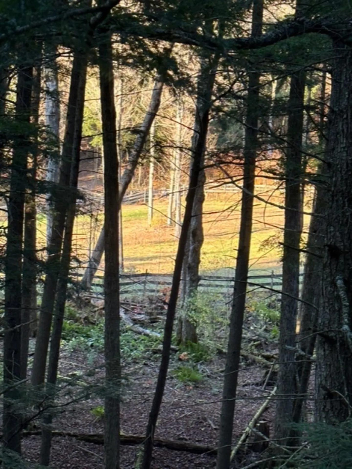 3752 Densmore Hill Road Woodstock VT 05091