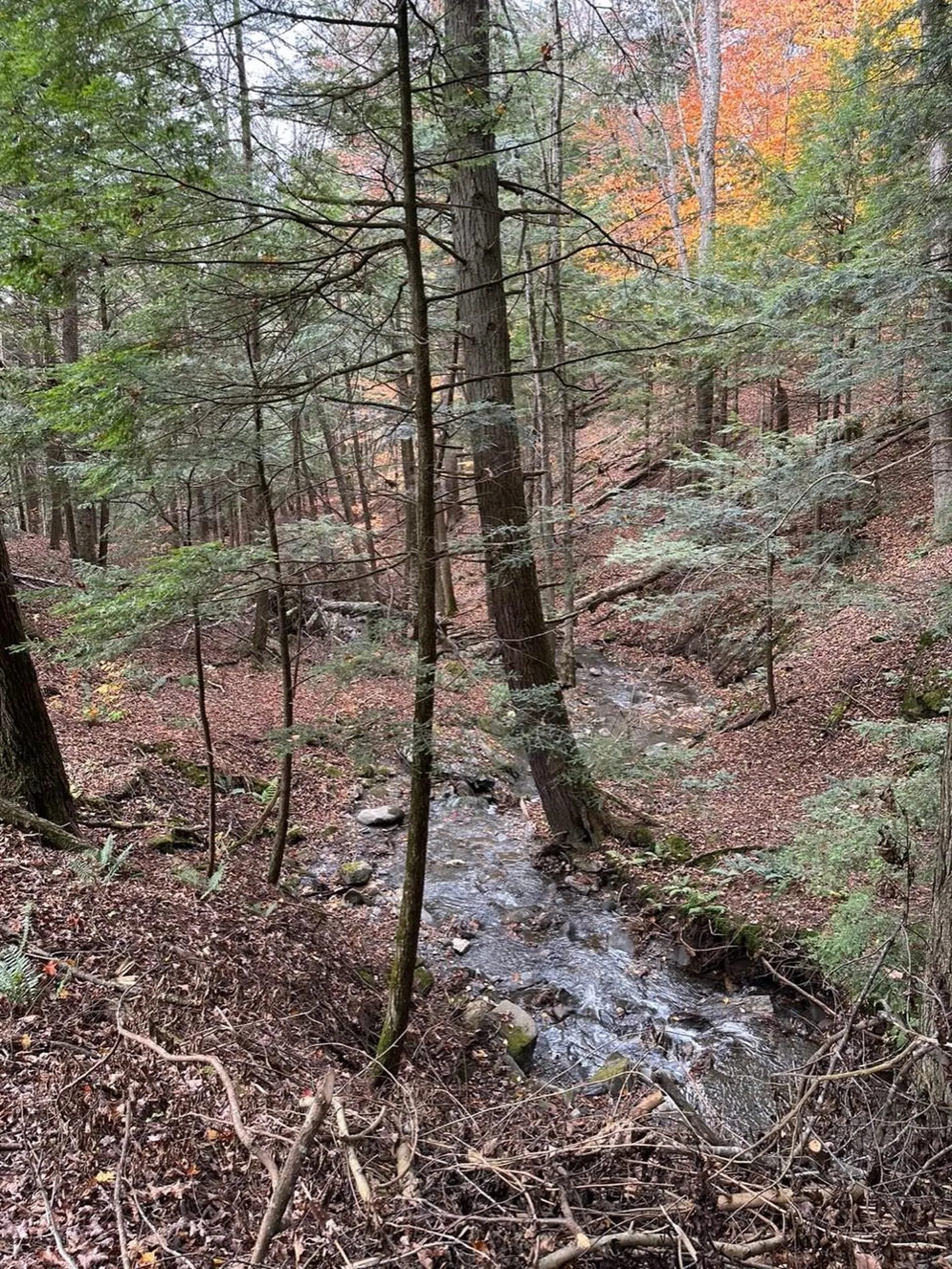 3752 Densmore Hill Road Woodstock VT 05091
