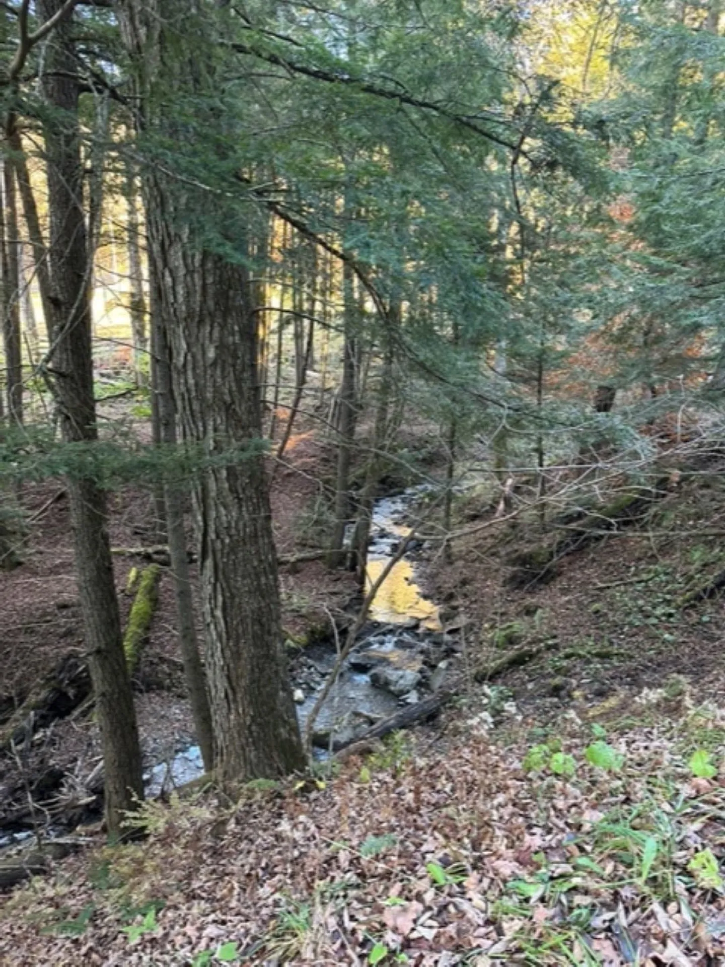 3752 Densmore Hill Road Woodstock VT 05091