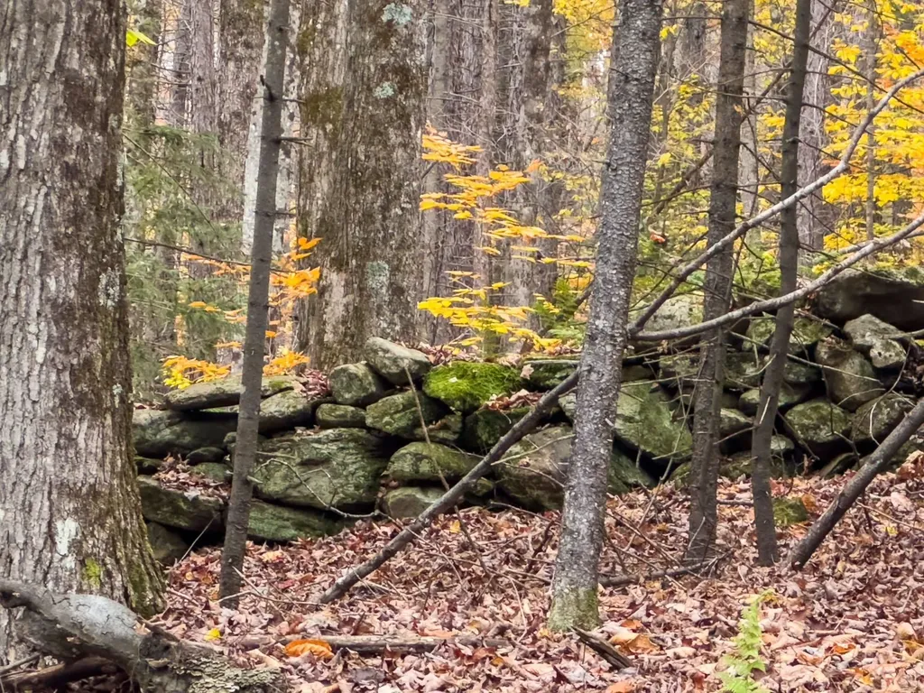 Tbd Boyce Road Fayston VT 05660