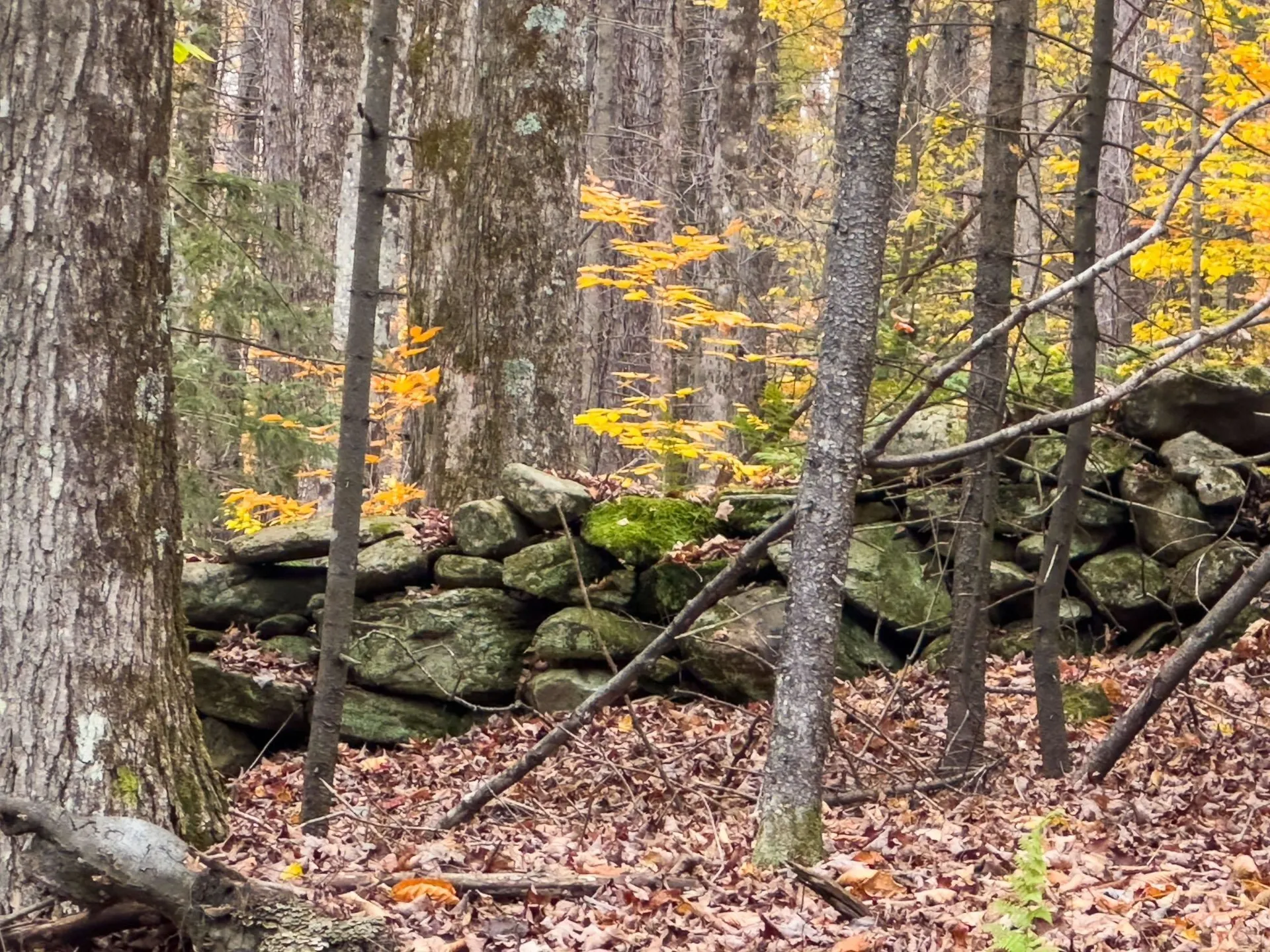 Tbd Boyce Road Fayston VT 05660